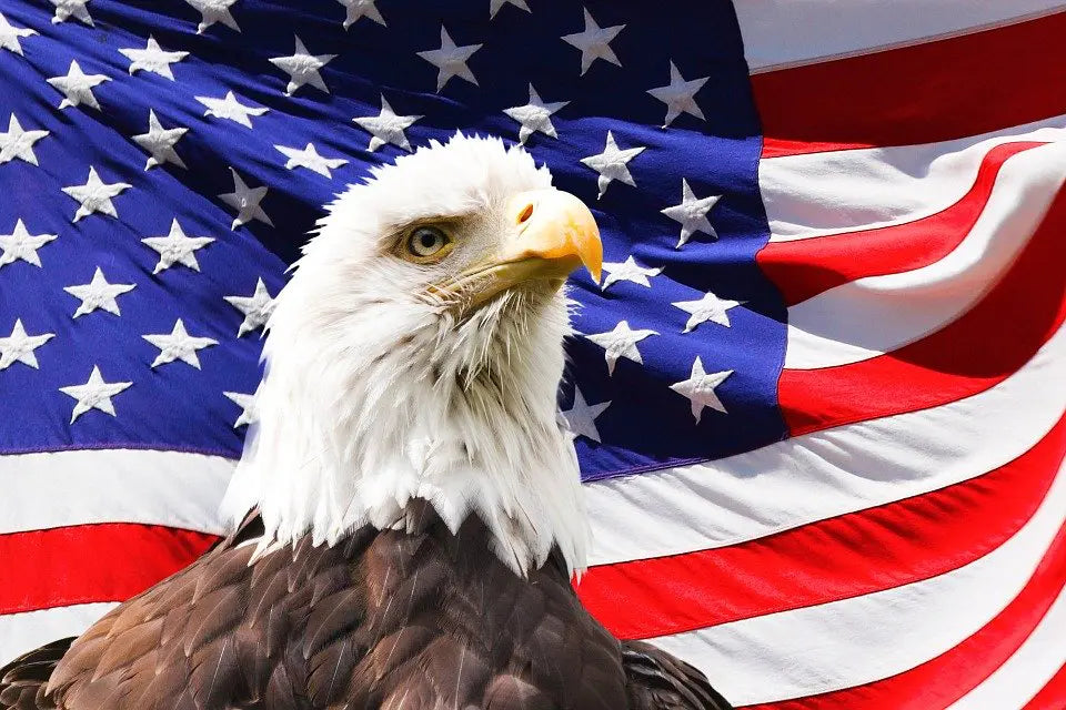 3-Reasons-Why-Patriotism-is-Important Federal Flags, LLC