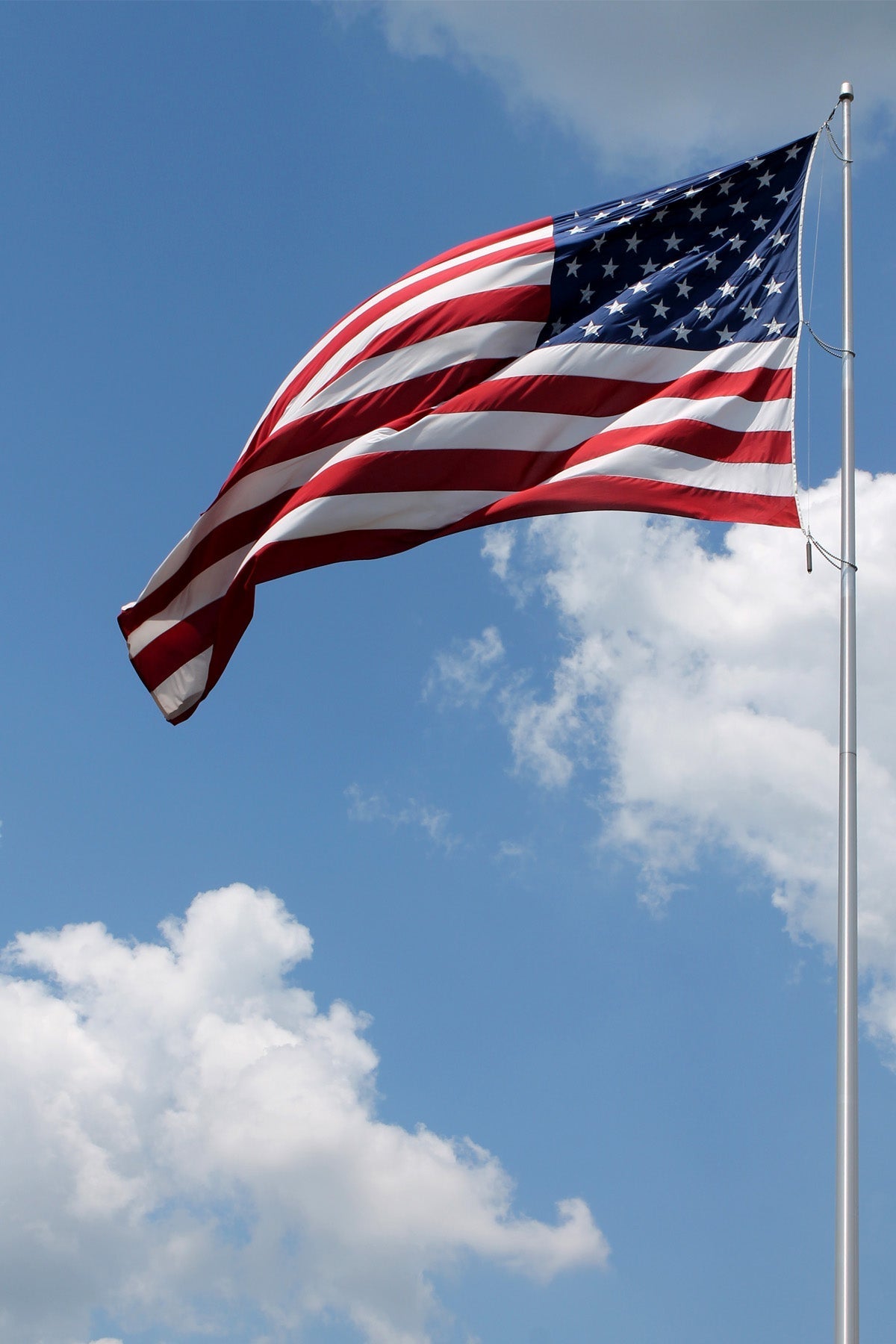 Internal Halyard Flagpole - Federal Flags