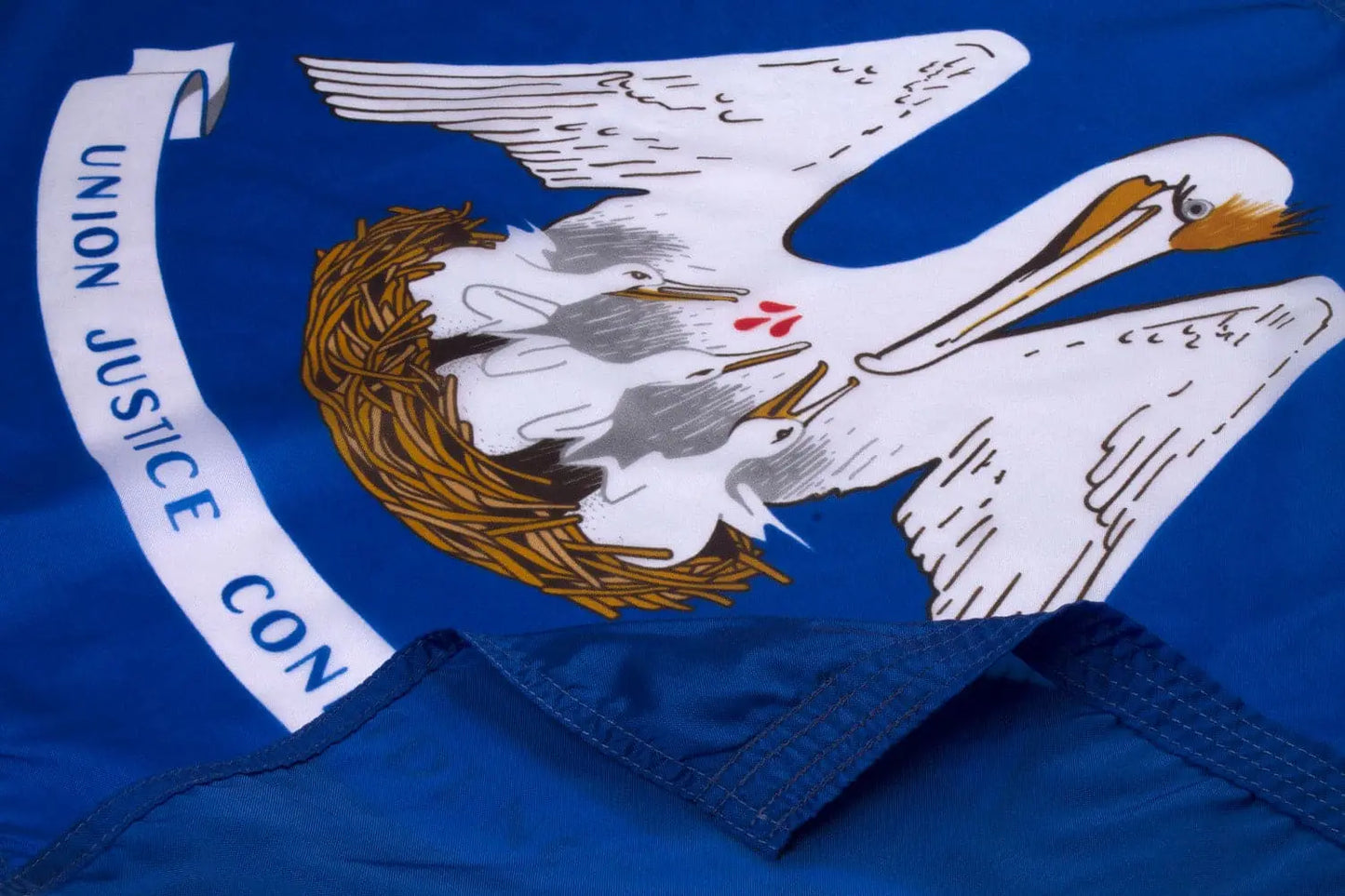 Louisiana Flag Close Up