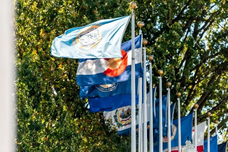 Why Each State Has Its Own Flag