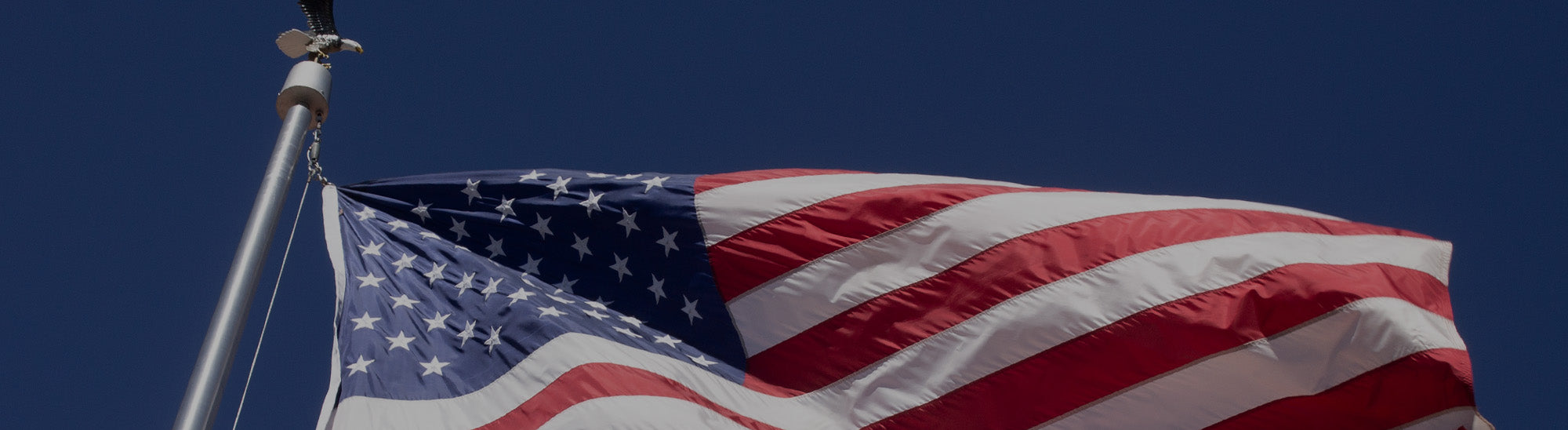 Internal Halyard Flagpoles For Sale Online | Federal Flags™