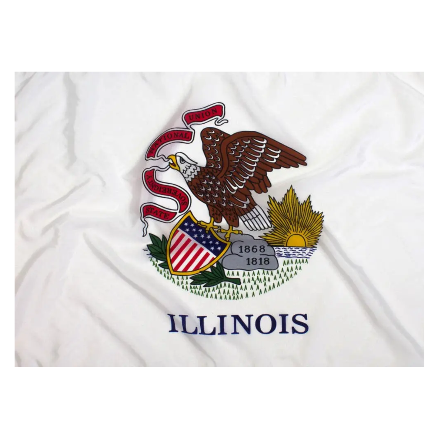 State of Illinois Flag - Official Design and Specifications - Outdoor Nylon - Federal Flags, LLC