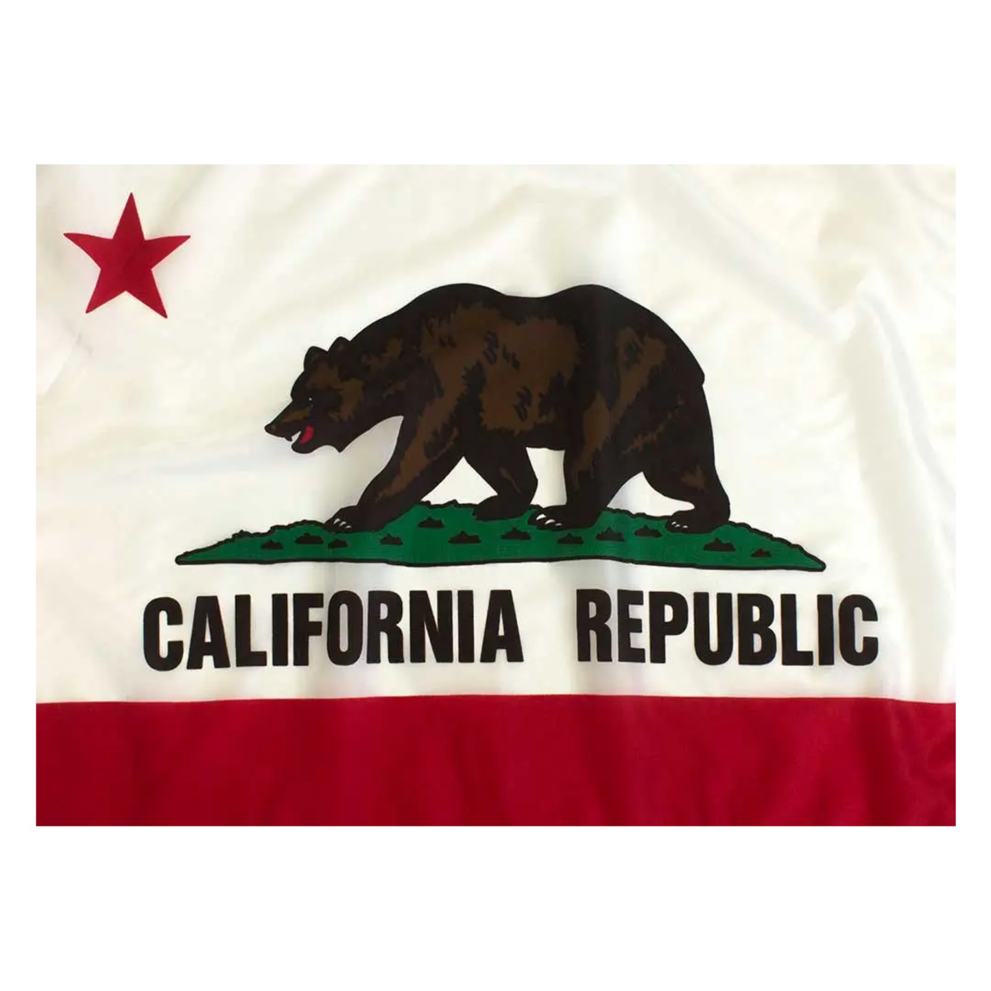 State of California Flag - Official Design and Specifications - Outdoor Nylon - Federal Flags, LLC