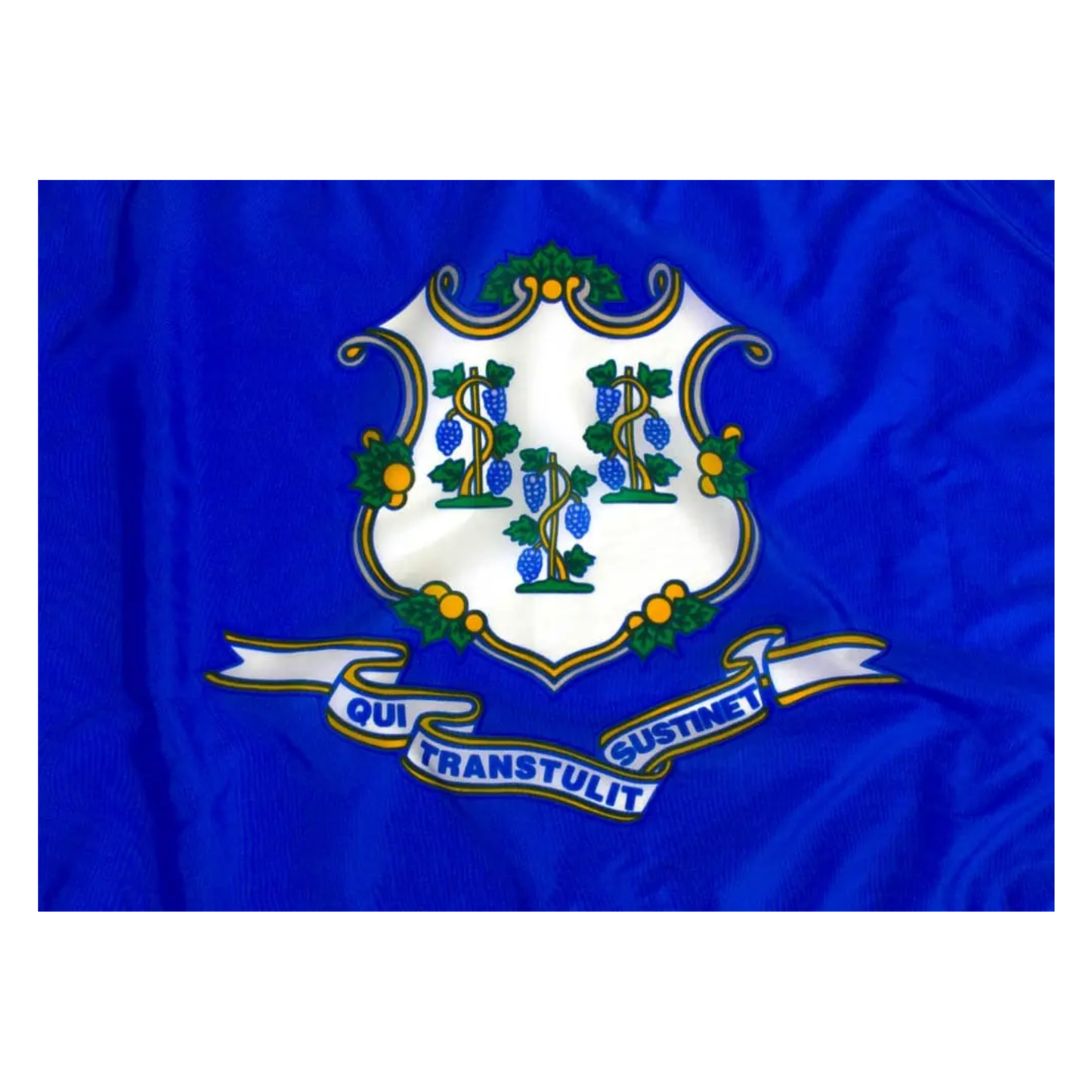 State of Connecticut Flag - Official Design and Specifications - Outdoor Nylon - Federal Flags, LLC