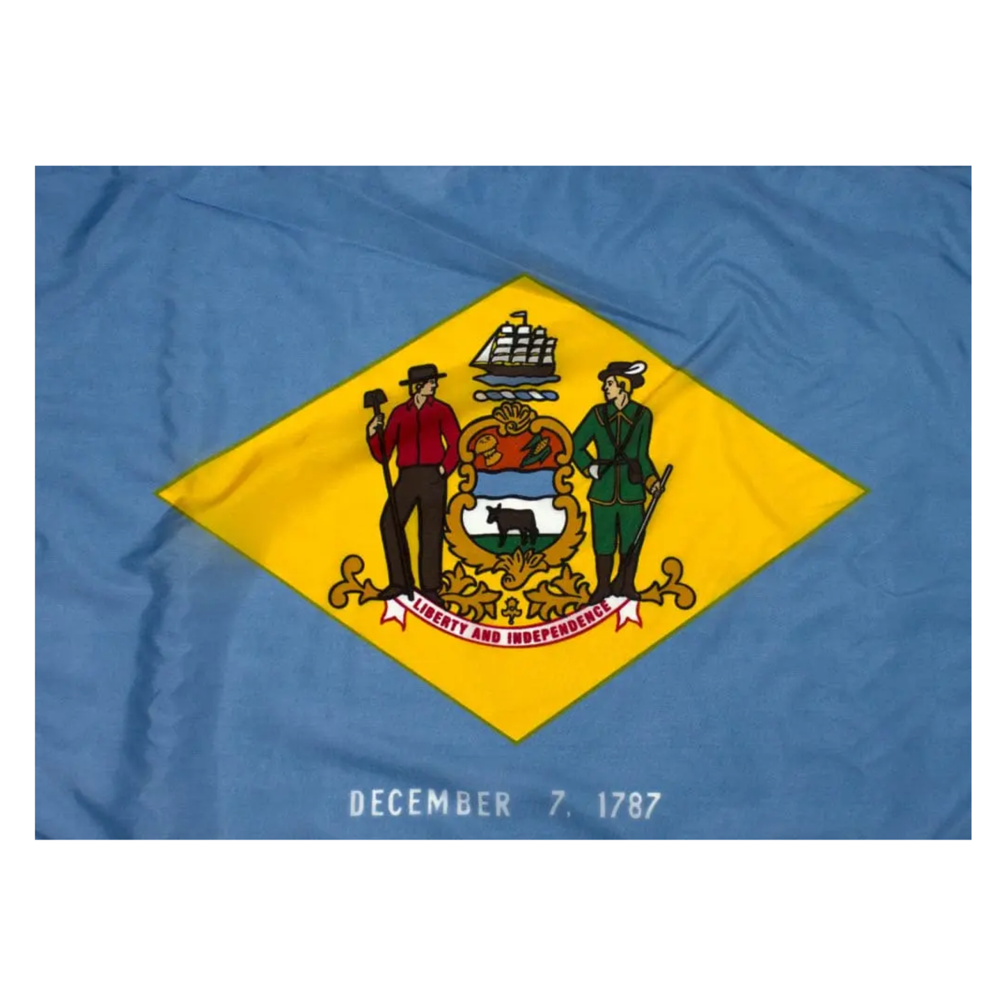 State of Delaware Flag - Official Design and Specifications - Outdoor Nylon - Federal Flags, LLC