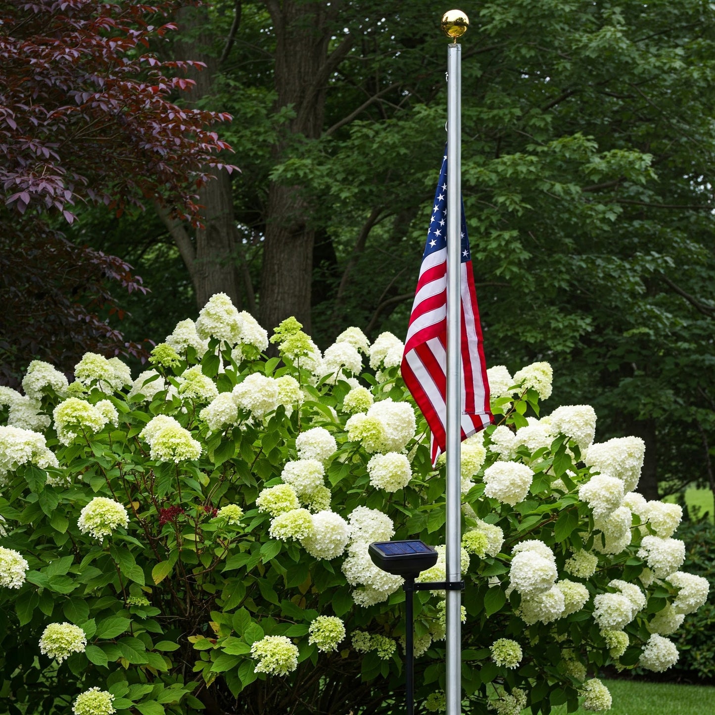 American flag flying on flagpole with solar light in front of scenic forest background