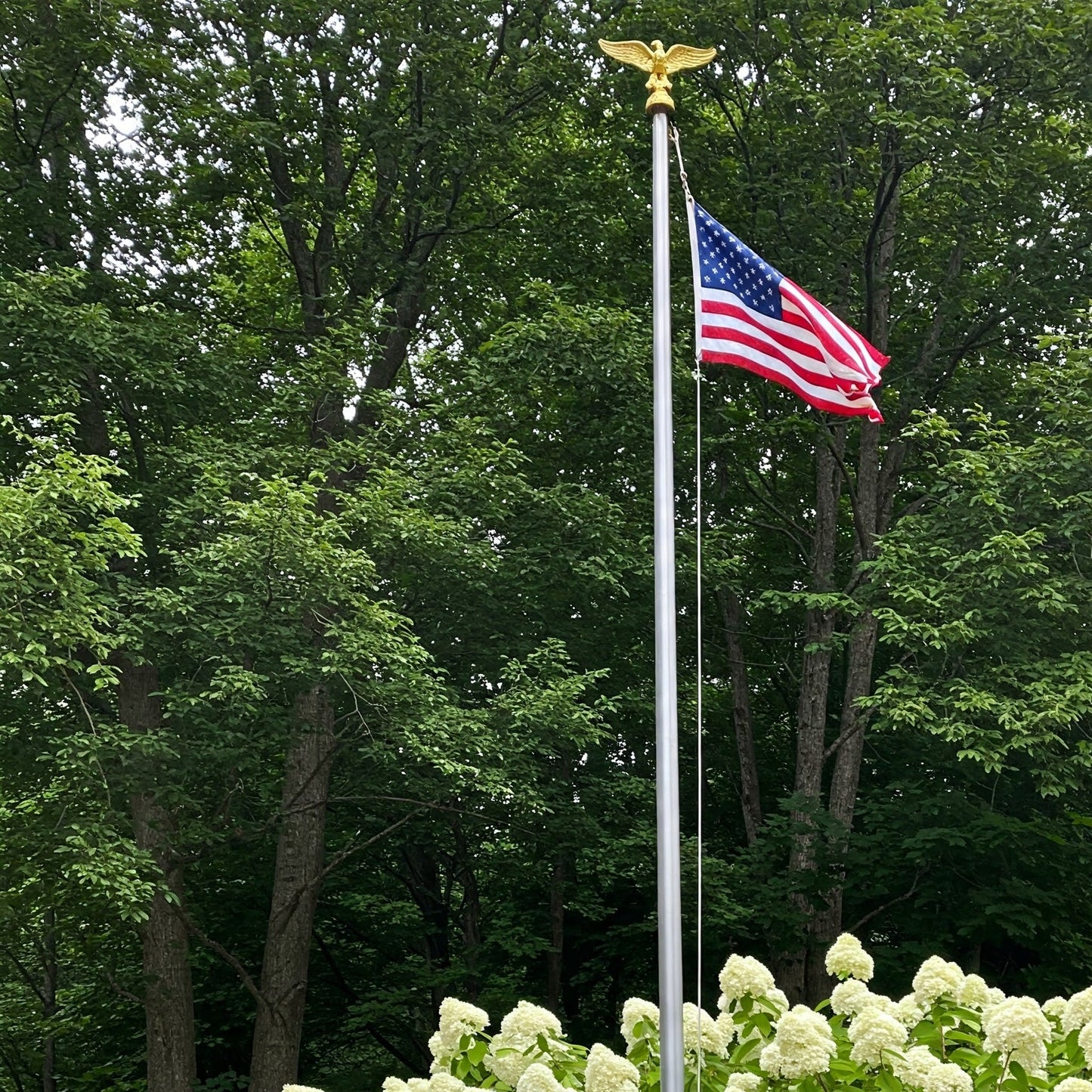 Gold eagle ornament topper on American flagpole flying the flag