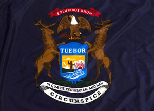 State Flag Of Michigan