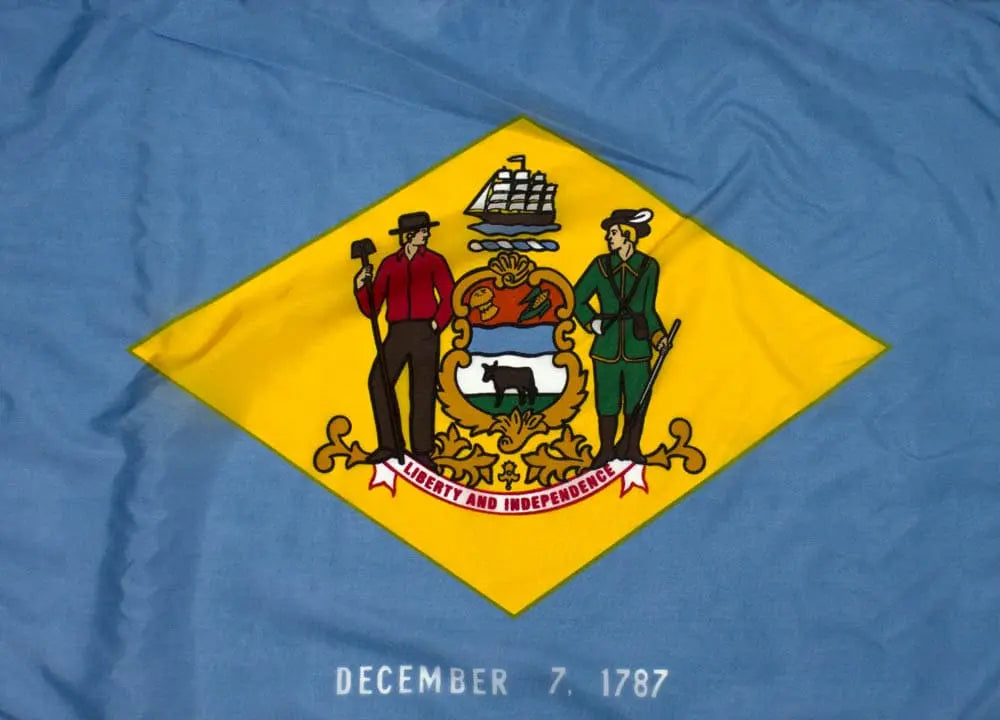 Outdoor Nylon Delaware Flag