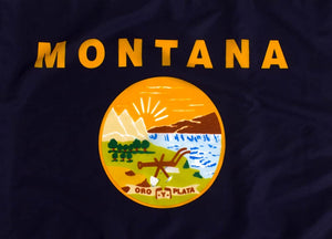 The State Flag of Montana