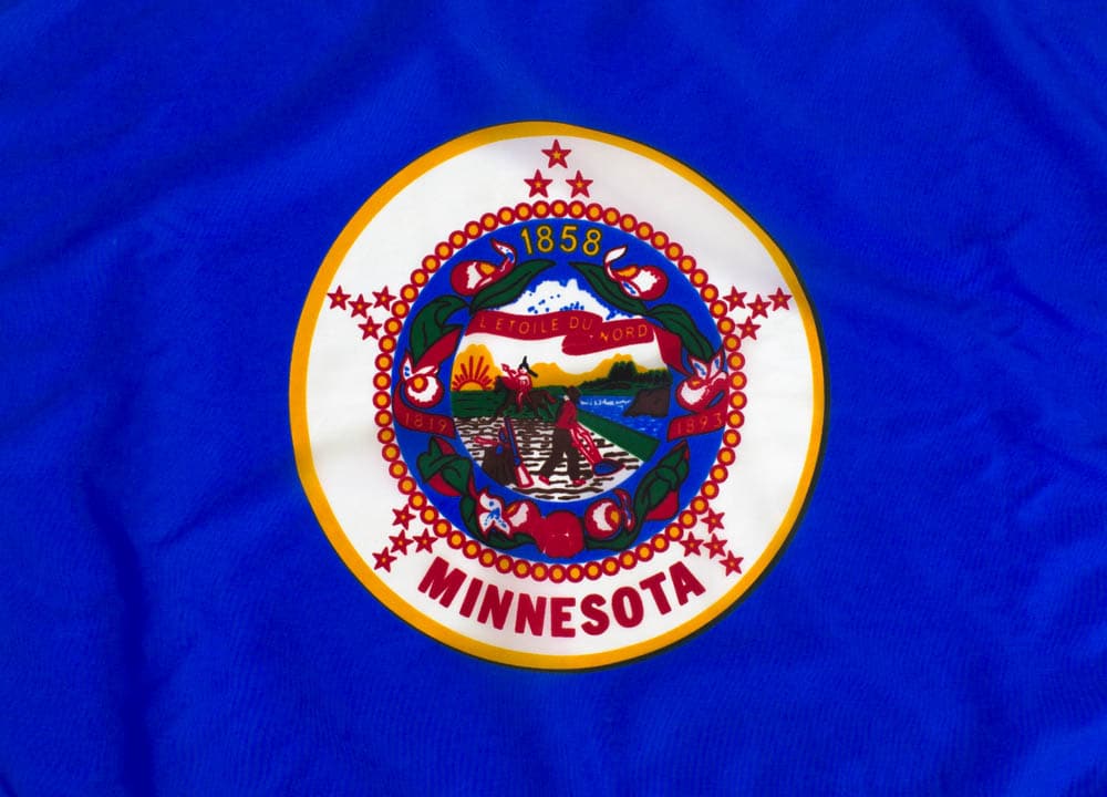 0077_Minnesota-flag-emblem_0ad126f0-8a5e-4e51-887b-573d7f1cdf1f_5000x.jpg