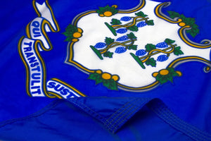 Connecticut Flag Close Up
