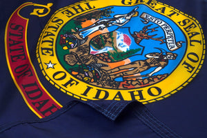 Idaho Flag Close Up
