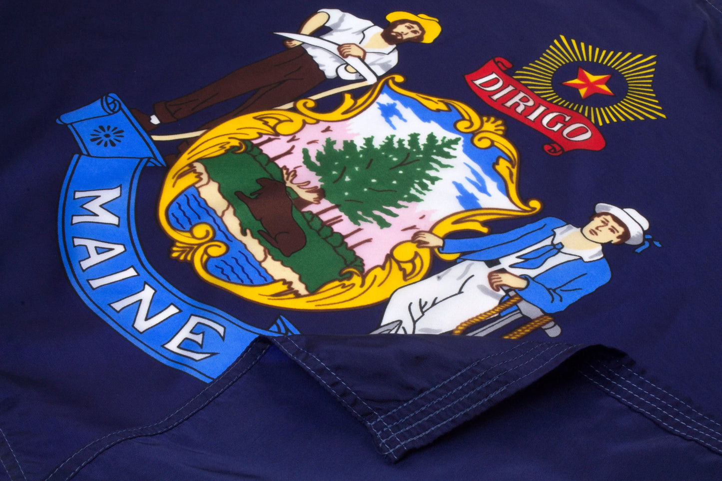 Maine Flag Close Up