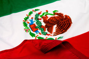 Mexico Flag / Mexican Flag Close Up