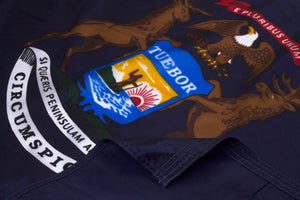 Michigan  Flag Close Up