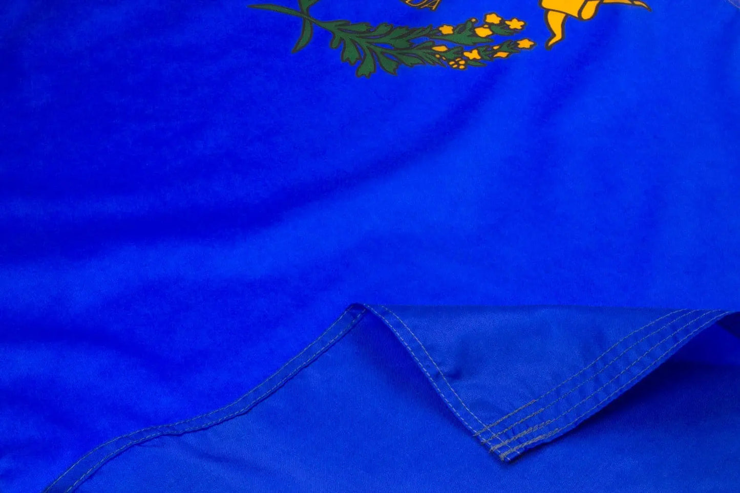 Nevada Flag Close Up