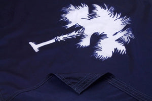 South Carolina Flag Close Up