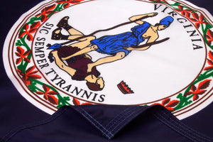 Virginia Flag Close Up