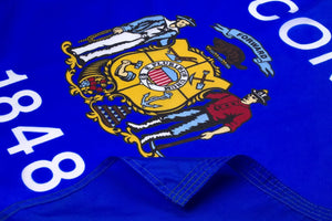 Wisconson Flag Close Up